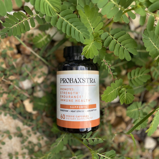 Probaxstra™ Sport - Superstrain Probiotic + Electrolytes