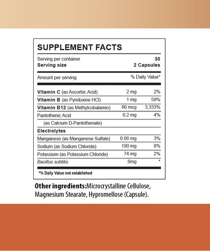 Probaxstra™ Sport - Superstrain Probiotic + Electrolytes (2 Pack)